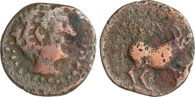 Celtiberian Coins
Semis. 50 a.C. NABRISA (LEBRIJA, Sevilla). Anv.: Cabeza mascul...
