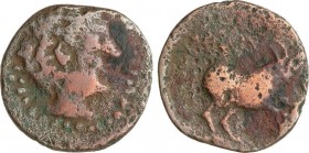 Celtiberian Coins
Semis. 50 a.C. NABRISA (LEBRIJA, Sevilla). Anv.: Cabeza masculina a derecha. Rev.: Antílope a derecha, encima letra NA. 3,16 grs. AE...