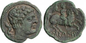Celtiberian Coins
As. 120-20 a.C. SECAISA (BELMONTE, Zaragoza). Anv.: Cabeza masculina a derecha, detrás leona. Rev.: Jinete con insignia a derecha, d...