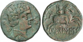 Celtiberian Coins
As. 120-30 a.C. SECOBIRICES (SAELICES, Cuenca). Anv.: Cabeza masculina a derecha, delante delfín, detrás palma y debajo signo ibéric...
