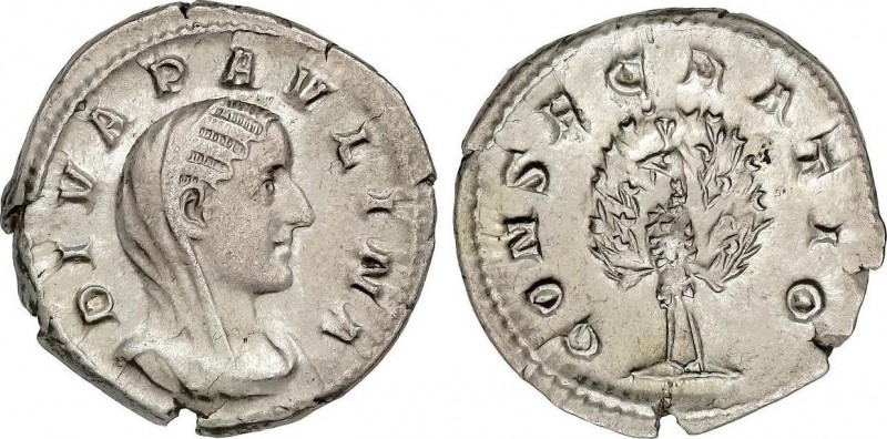 Roman Coins
Empire
Denario. Acuñada el 235-236 d.C. PAULINA. Anv.: DIVA PAVLINA....