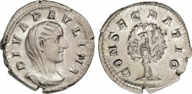 Roman Coins
Empire
Denario. Acuñada el 235-236 d.C. PAULINA. Anv.: DIVA PAVLINA. Busto velado a derecha. Rev.: CONSECRATIO. Pavo real de frente con la...