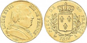 World Coins
France
20 Francos. 1814-A. LUIS XVIII. PARÍS. 6,40 grs. AU. Brillo original. FR-525; KM-706.1. SC-. 