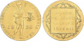 World Coins
Netherlands
Ducado. 1928. 3,49 grs. AU. Fr-331; KM-83.1. SC-. 