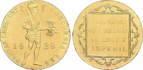 World Coins
Netherlands
Ducado. 1928. 3,49 grs. AU. Fr-331; KM-83.1. SC-. 
