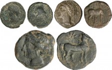 Lots and Collections
Celtiberian Coins
Lote 5 monedas 1/4, 1/2 y 1 Calco y Semis y As. 220-180 a.C. CARTAGONOVA (2) , CARTAGO y CASTULO. AE. Incluye 1...