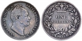 Gran Bretagna - Guglielmo IV (1831-1837) 1 Scellino 1834 - KM 713 - Ag 
BB