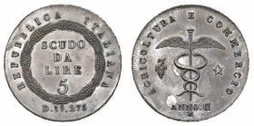 Collezione di Prove e Progetti
Prima Repubblica Italiana (1802-1805)
Progetto del 5 Lire Anno II (1803) - Zecca: Milano - Diritto: valore entro coro...
