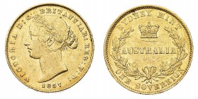 Oltremare
Australia
Victoria (1837-1901) - Sovereign 1857 - Zecca: Sidney - Diritto: effigie giovanile della Regina a sinistra - Rovescio: leggenda ...