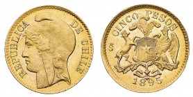 Oltremare
Cile
Repubblica (dal 1818) - 5 Pesos 1895 - Zecca: Santiago del Cile - Diritto: testa della Libertà a sinistra - Rovescio: stemma della Re...