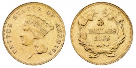 Oltremare
Stati Uniti d'America
3 Dollari "Liberty Head" 1855 - Zecca: Filadelfia - Non comune - In lotto anche un esemplare da 1 Dollaro "Liberty H...