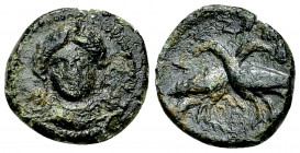 Laos AE 14, c. 350-300 BC 

Lucania, Laos. AE14 (2.03 g), c. 350-300 BC.
Obv. Female head facing (Demeter?).
Rev. Two birds crossing paths.
 HN I...