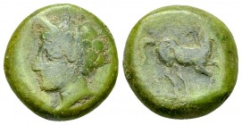 Aitna AE Tetras, c. 354-344 BC 

Sicily, Aitna. AE Tetras (15 mm, 5.08 g), c. 354-344 BC.
Obv. Wreathed head of Kore to left.
Rev. Horse prancing ...