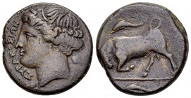 Syracuse AE Hemilitron, c. 317-310 BC 

Sicily, Syracuse. Agathokles (317-289 BC). AE Hemilitron (20 mm, 6.48 g), c. 317-310 BC.
Obv. ΣΥΡAΚΟΣΙΩΝ, W...
