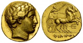 Philip II AV Stater, Pella 

Kings of Macedon. Philip II (359-336 BC). AV Stater (17 mm, 8.59 g), Pella, c. 340-328 BC.
Obv. Laureate head of Apoll...