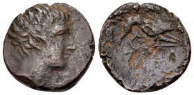 Argos Amphilochikon AE17, 3rd century BC 

Acarnania, Argos Amphilochikon. AE17 (3.54 g), 3rd century BC.
Obv. Male head to right.
Rev. [APΓΕΙΩΝ],...