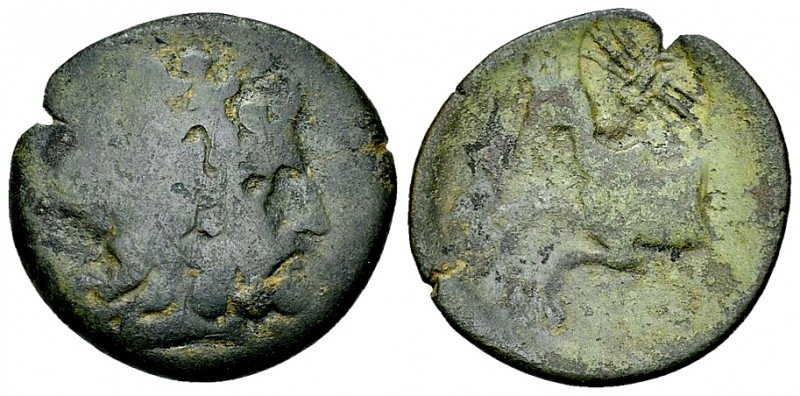 Termessos AE20, 1st century BC, countermark 

Pisidia, Termessos. AE20 (4.16 g...