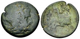 Termessos AE20, 1st century BC, countermark 

Pisidia, Termessos. AE20 (4.16 g), 1st century BC. 
Obv. Laureate head of Zeus to right.
Rev. Forepa...