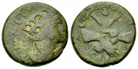 Corinth Pseudo-autonomous AE19 

Corinthia, Corinth. AE19 (7.82 g). Pseudo-autonomous, temp. Galbae (AD 68-69). L Caninius Agrippa, duovir
Obv. [RO...