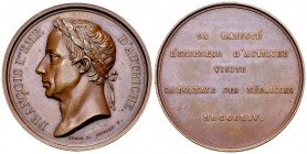 France, AE Médaille 1814 

France. AE Médaille 1814 (40 mm, 34.11 g), Visite de Franz Ier à Paris.

SUP.