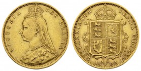 Victoria AV 1/2 Sovereign 1890 

Great Britain. Victoria. AV 1/2 Soverign 1890 (3.95 g). Shield type.
KM 766.

Good very fine.