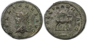 Römische Münzen, MÜNZEN DER RÖMISCHEN KAISERZEIT. Gallienus (253-268 n. Chr). Antoninianus 265 n. Chr. (2,75 g. 21.5 mm) Vs.: GALLIENVS AVG, Büste n. ...