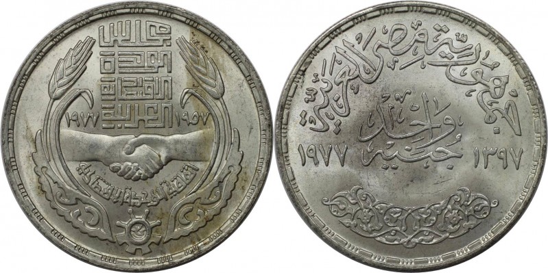 Weltmünzen und Medaillen, Ägypten / Egypt. Wirtschaftsunion. 1 Pound 1977, 15 g....