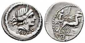 Junius. D. Junius Silanus L.f. Denarius. 91 BC. Rome. (Ffc-787 var). (Craw-337/2e var). (Cal-867 var). Anv.: Diademed head of Salus right, SALVS below...