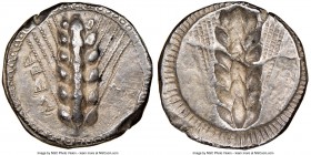 LUCANIA. Metapontum. Ca. 470-440 BC. AR stater (21mm, 7.33 gm, 12h). NGC XF 5/5 - 3/5. META, barley ear with six grains; guilloche border on raised ri...