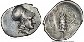 LUCANIA. Metapontum. Ca. 325-275 BC. AR diobol (13mm, 1.19 gm, 3h). NGC XF 5/5 - 4/5. Head of Athena right, wearing Corinthian helmet pushed back on h...