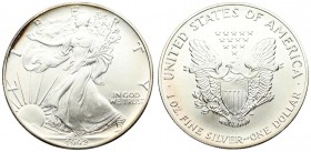 USA 1 Dollar 1992 'American Silver Eagle'. Averse: Walking Liberty. Lettering: L I B E R T Y IN GOD WE TRUST AAW 1992. Reverse: Heraldic eagle with sh...