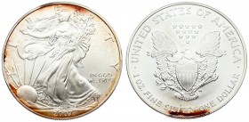 USA 1 Dollar 2007 'American Silver Eagle'. Averse: Walking Liberty. Lettering: L I B E R T Y IN GOD WE TRUST AAW 2007. Reverse: Heraldic eagle with sh...