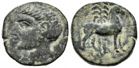 Cartagonova. Calco. 220-205 d.C. Cartagena (Murcia). (Abh-552). (Acip-609). (C-69). Rev.: Caballo parado a derecha con palmera detrás. Ae. 10,24 g. MB...
