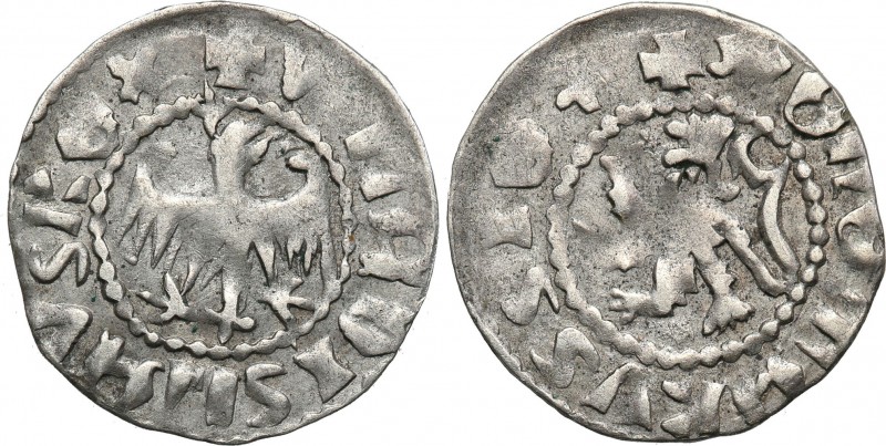 Medieval coins 
POLSKA/POLAND/POLEN/SCHLESIEN

Władysław Jagiełło (1386-1399)...