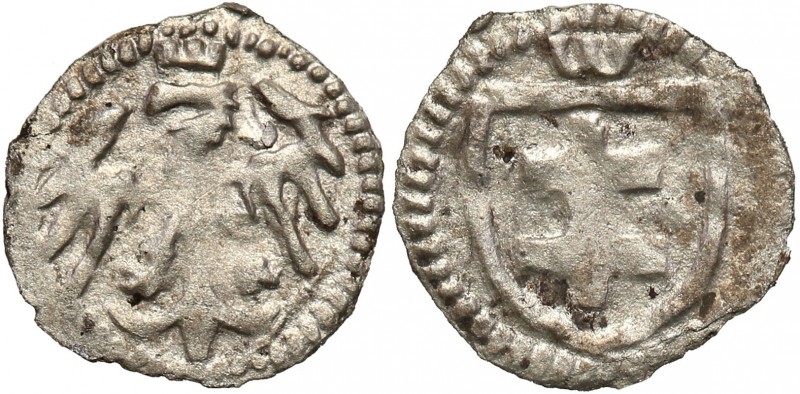 Medieval coins 
POLSKA/POLAND/POLEN/SCHLESIEN

Jadwiga i Władysław Jagiełło (...