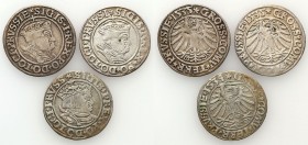 Sigismund I Old
POLSKA/ POLAND/ POLEN / POLOGNE / POLSKO

Zygmunt I Stary. Grosz (Groschen) 1534 + 2 x 1535, Torun 

Zestaw trzech groszy pruskic...