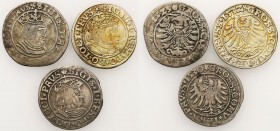 Sigismund I Old
POLSKA/ POLAND/ POLEN / POLOGNE / POLSKO

Zygmunt I Stary. Grosz (Groschen) 1529-1532, Torun, set 3 coins 

Patyna.

Details: A...