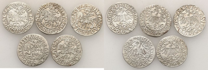 Sigismund II August
POLSKA/ POLAND/ POLEN/ LITHUANIA/ LITAUEN

Zygmunt II Aug...