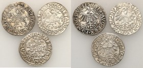 Sigismund II August
POLSKA/ POLAND/ POLEN/ LITHUANIA/ LITAUEN

Zygmunt II August. PółGrosz ( 1/2 Groschen) 1556, 1557, 1559, Vilnius - set 3 pieces...