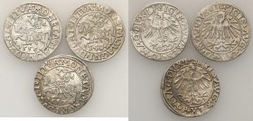 Sigismund II August
POLSKA/ POLAND/ POLEN/ LITHUANIA/ LITAUEN

Zygmunt II August. PółGrosz ( 1/2 Groschen) 1548, 1556, 1557, Vilnius - set 3 pieces...