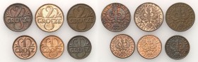 Poland II Republic
POLSKA / POLAND / POLEN / POLOGNE / POLSKO

II RP. 1, 2 Grosz (Groschen) 1932-1936, set 6 coins 

Monety o nominale 2 groszy z...