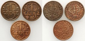 Poland II Republic
POLSKA / POLAND / POLEN / POLOGNE / POLSKO

II RP. 1 Grosz (Groschen) 1930, set 3 pieces - Rare Date 

Najrzadszy rzadki roczn...