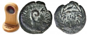 Ancient coins
RÖMISCHEN REPUBLIK / GRIECHISCHE MÜNZEN / BYZANZ / ANTIK / ANCIENT / ROME / GREECE

Rome, Judea - Roman Province, procurator Pontius ...