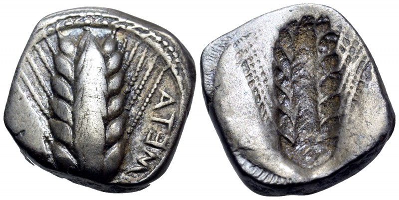 LUCANIA. Metapontum. Circa 470-440 BC. Stater (Silver, 19.5 mm, 8.33 g, 12 h). Μ...