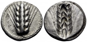 LUCANIA. Metapontion. Circa 470-440 BC. Stater (Silver, 21 mm, 7.27 g, 12 h). META Ear of barley with six grains. Rev. Incuse ear of barley with six g...