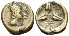 LUCANIA. Metapontion. Circa 300-250 BC. Chalkous (Bronze, 14 mm, 2.38 g, 1 h). Draped bust of the DIoskouroi to right, each wearing laureate pilos . R...