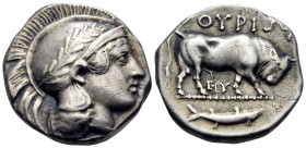 LUCANIA. Thourioi. Circa 443-400 BC. Stater (Silver, 20 mm, 7.85 g, 10 h). Head ofAthena to right, wearing an Attic helmet ornamented with an olive br...