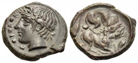SICILY. Piakos. Circa 425-420 BC. Tetras or Trionkion (Bronze, 15 mm, 2.87 g, 6 h). Π Ι Α Κ Head of youthful river god to left, wearing a wreath of re...