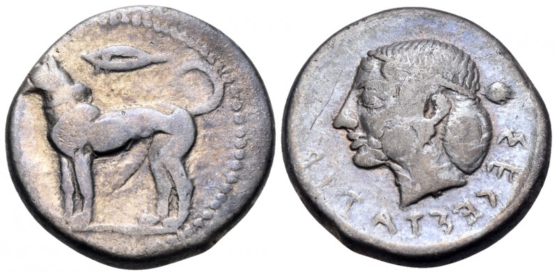 SICILY. Segesta. Circa 455/50-445/40 BC. Didrachm (Silver, 22 mm, 8.40 g, 12 h)....