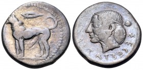 SICILY. Segesta. Circa 455/50-445/40 BC. Didrachm (Silver, 22 mm, 8.40 g, 12 h). Hound, the rivergod Krimisos, standing to left; above, barley grain. ...
